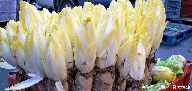 『家里面』适合在阳台上种的菜,这两种都可以选,种好了做菜方便又放心