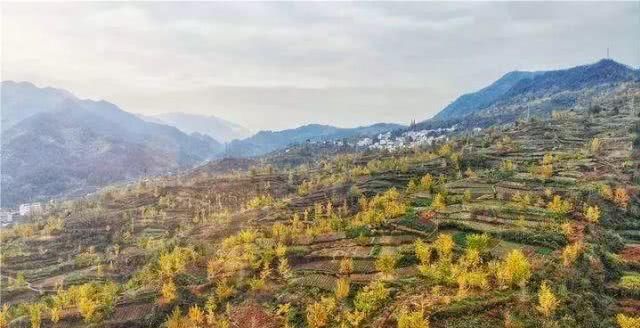 浙江不只有江南烟雨，这10个地方藏着浙江的绝美秋景