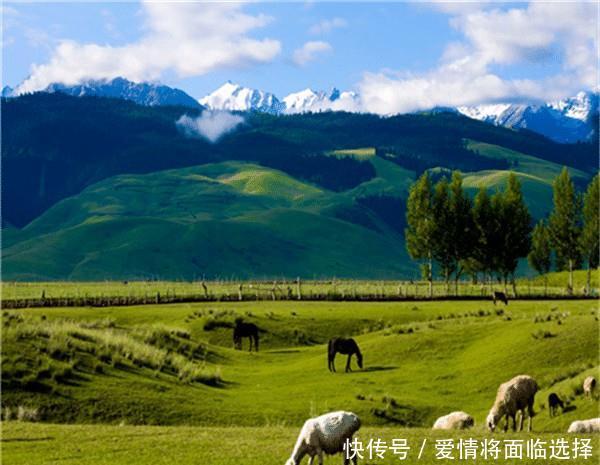 汉族小伙能和维族女孩结婚吗?看看维吾尔族姑娘怎么回答