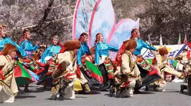 三月，去看中国最美春光