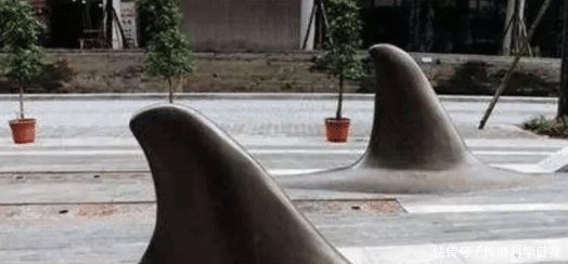 重庆街头出现“鲨鱼鳍”，路人拍手称快，司机叫苦不迭