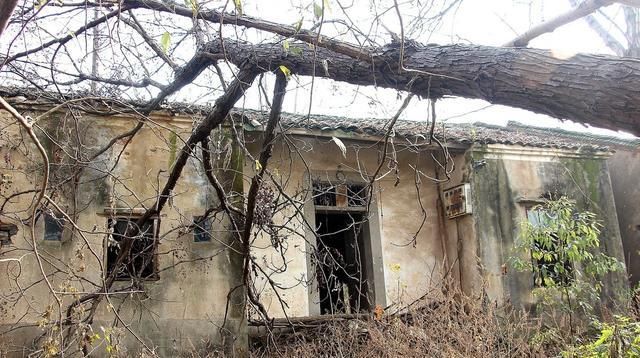 注意！这五类房子可能不属于你！国家有权收回