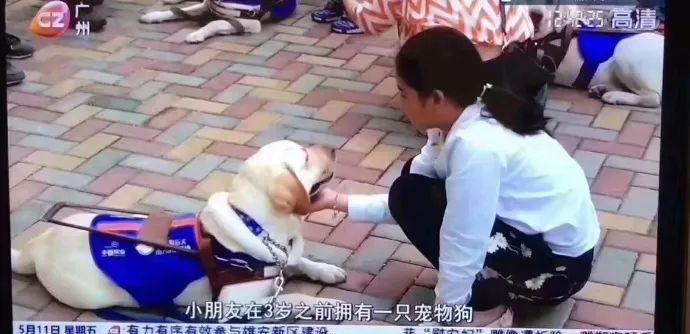 还在相信怀孕不能养宠物吗？ 连央视新闻都出来辟谣了!