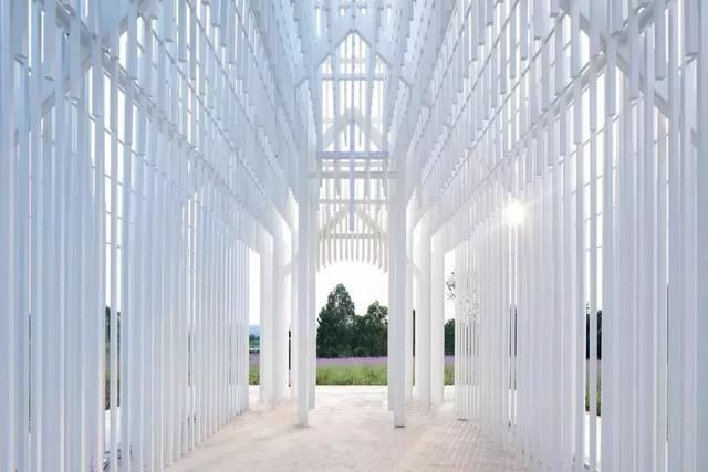 成都出发1h！邂逅薰衣草花海中的纯白圣境，不要门票景色美哭！