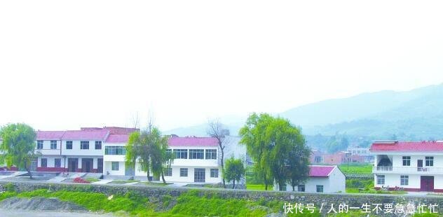 农村出现“四大怪”，专家不解，老农一席话道出了其中的原因