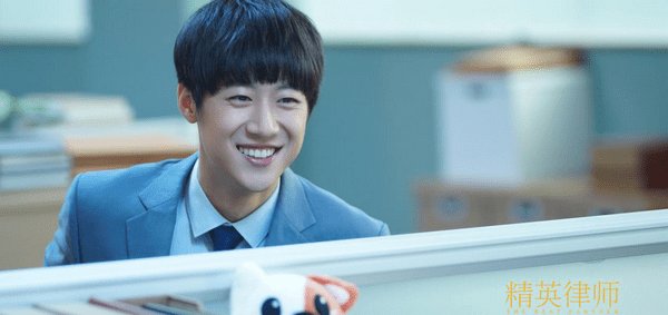 精英律师中的