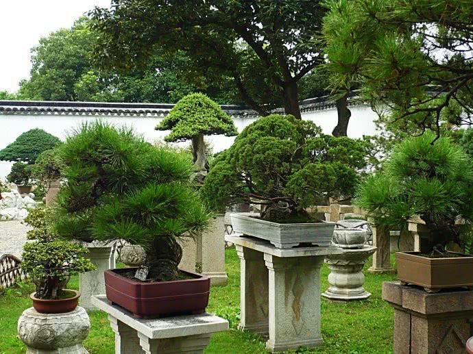  【设计】12个中式“花园庭院”设计，种草养花，逗鱼赏月，雅趣！