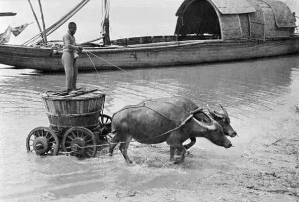  「发现」美国人在鞋盒里发现了6000张中国老照片