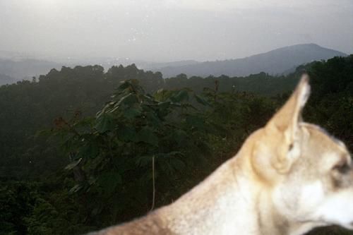 在摄影师15年的个人成长影像记录里,有原汁原味的印度南部风情