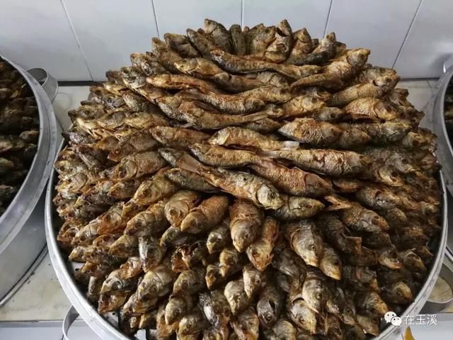 易门绿汁镇首届稻田开鱼节 带你找回儿时快乐！