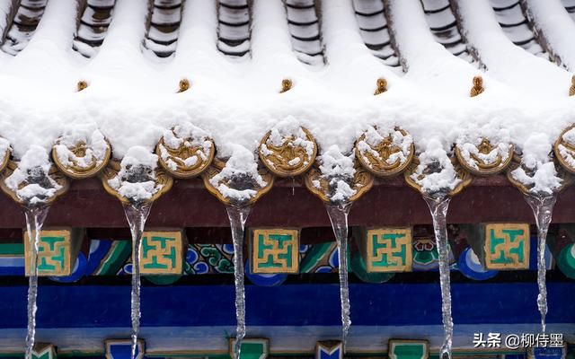 作为摄影爱好者，你觉得，什么是摄影的“艺德”？