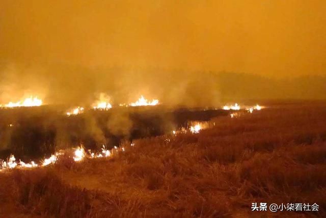秸秆不禁烧？吉林获“首烧”的资格，农民又可以一把火点着土地
