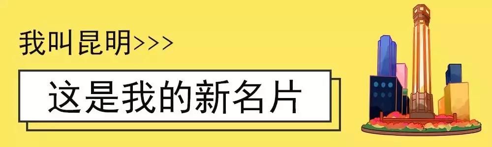 大局已定！2019中国城市发展潜力排名新鲜出炉！昆明位列第28名！