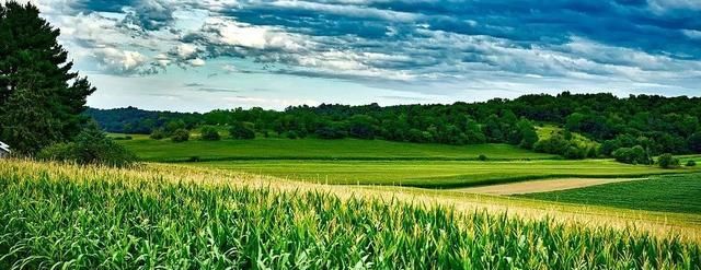  #补贴#2019粮食补贴标准出炉？两类人标准提高、三类农民不再有