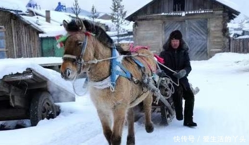 中国最“奇怪”的村子，白天街上鲜少有人，晚上却是人山人海？