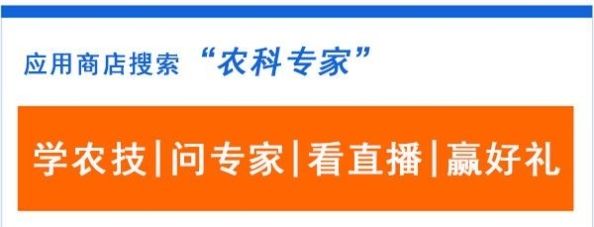＂2019电费调整通知，农村用电最新收费标准出炉＂