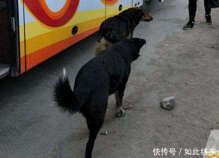 从俄罗斯返回中国记