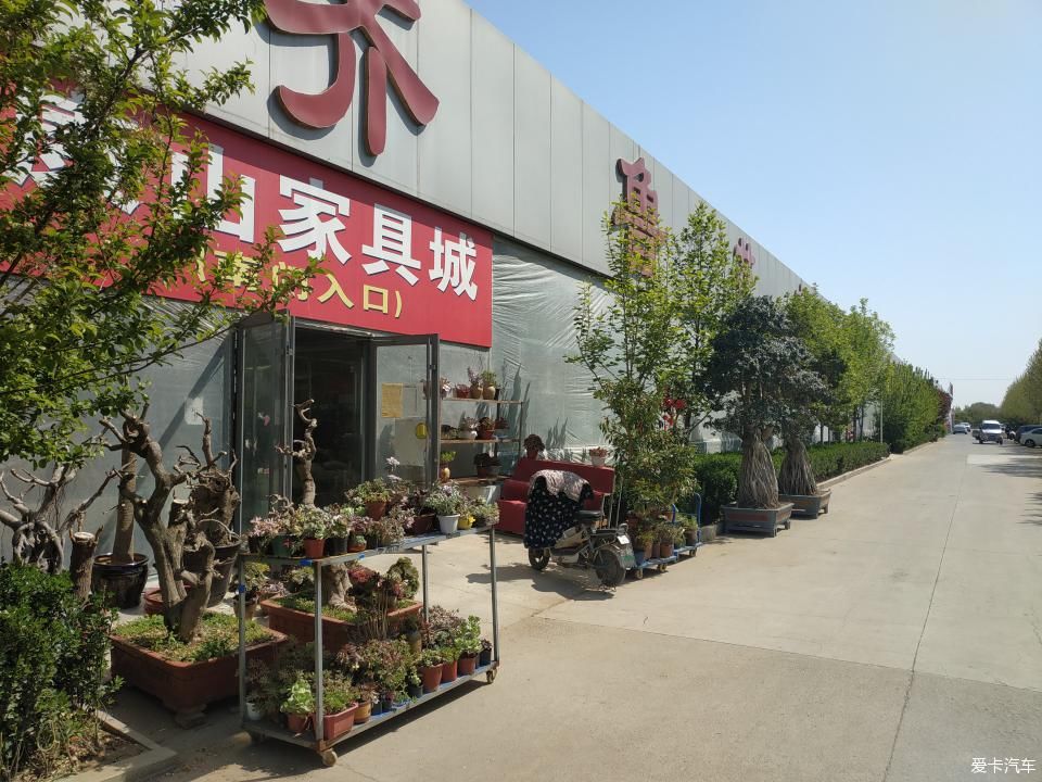  『色彩纷呈』【4月，你好】花花世界 色彩纷呈 赏心悦目