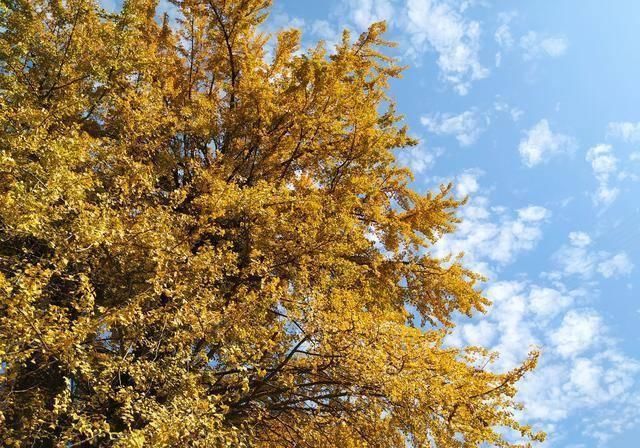 自驾中国最美公路高江路，车轮悬空差点掉河里，当地人居然这么做