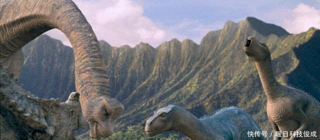 背上装着尖刺，外表十分霸气，迄今为止出土最完整的恐龙化石！