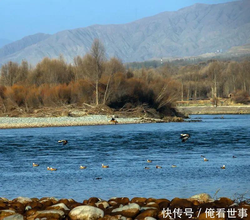  『青海』真美！青海这些地方春天已经来了，看看有你的家乡吗