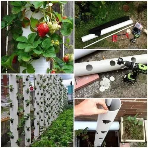 『塑料』8个塑料PVC水管制作的景观,廉价、实用、不占地的