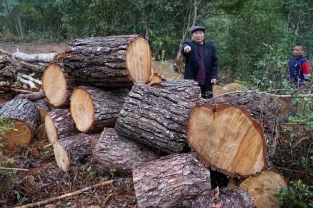  「施工便道」农夫山泉被指“大自然的拆迁队”，这瓶水，变得再