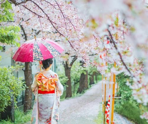 日本女人爱来中国旅游,看着是在旅游,其实是为了带走这两样东西