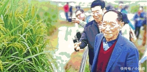 巨型水稻的诞生, 为什么却引来了那么多的担忧?