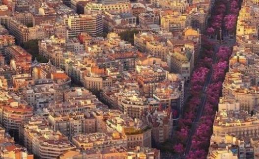 整齐的城市,当看到航拍图,网友:这是强迫症的