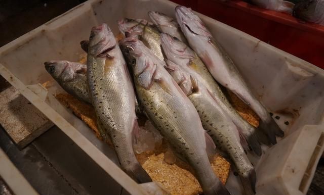 自驾走过广西广东海南，来到福建霞浦三沙，带你看看渔村海鲜价格