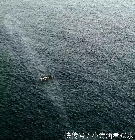 让人感到震惊的28张照片, 都不是P的