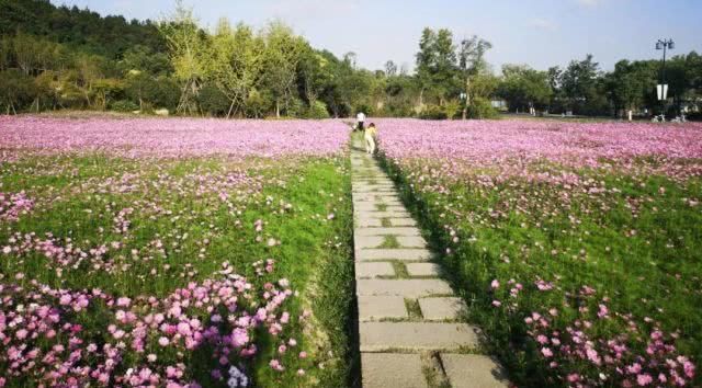 浙江不只有江南烟雨,这10个地方藏着浙江的绝美秋景