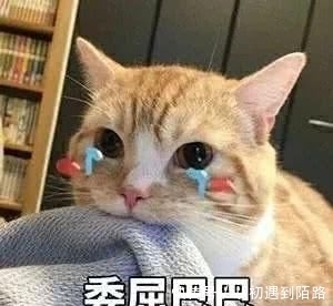粗心|这个粗心司机“闯祸了”,加油站表示“很委屈”!
