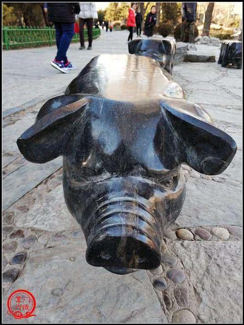 北京市内唯一一座具有田园风光的山村野趣公园，四头猪在路旁应景