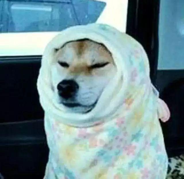 -2℃！气温“高台跳水”，元旦假期要下雪！还和台风有关！