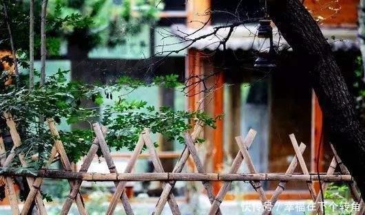  「快乐」篱笆小院住在乡村的快乐，你想体验吗！