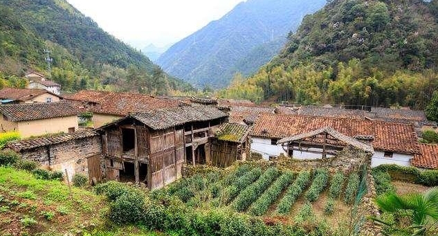 如今年轻人不种地，以后农村的土地谁来种，答案在下方！