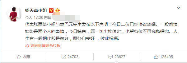 知情人曝前夫曾卖假名牌，张雨绮被“外科医生和上市”谎言砸懵了