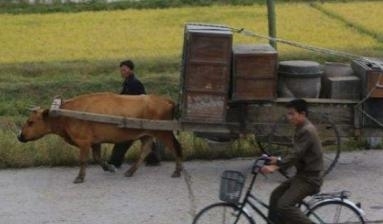 明年开始440个县的农民将迁移别处，政府免费分房，有没有你们