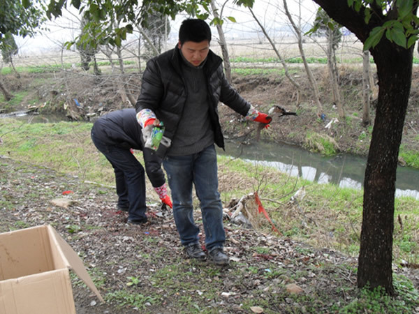  「2020年」好消息：2020年前，国家要在农村全面完成四个项目落