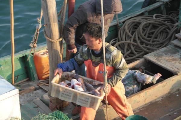 青岛渔民一天捞80斤海鲜 上岸5分钟就被抢光