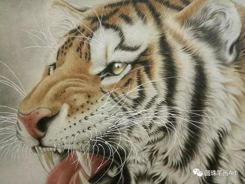 他笔下的这些细腻逼真的工笔画，让人叹为观止！