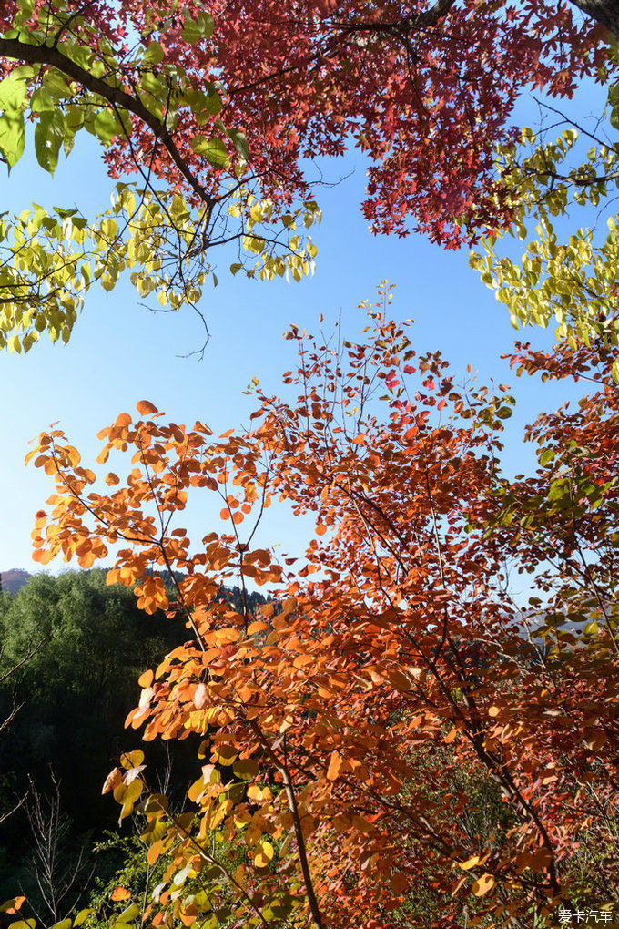 红遍万山的红叶谷【2020热门旅游景点】