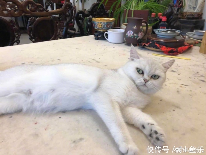 崔永元微博骂刘震云，建议和方骗子、黄毅清、司马夹头成立微信群