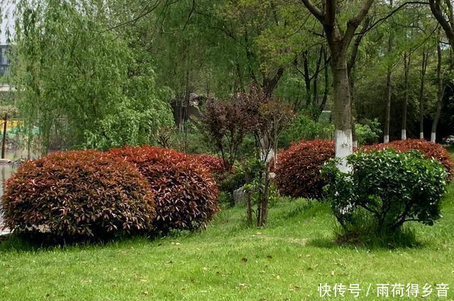 『感受』快过来,感受大自然强大的治愈力