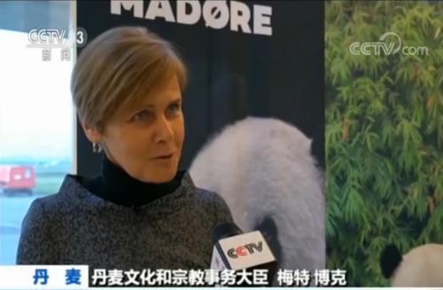 丹麦迎来首对中国大熊猫