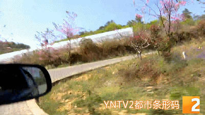 7公里路拐了68道弯,每十米就要就要急转一次方向盘,云南这条公