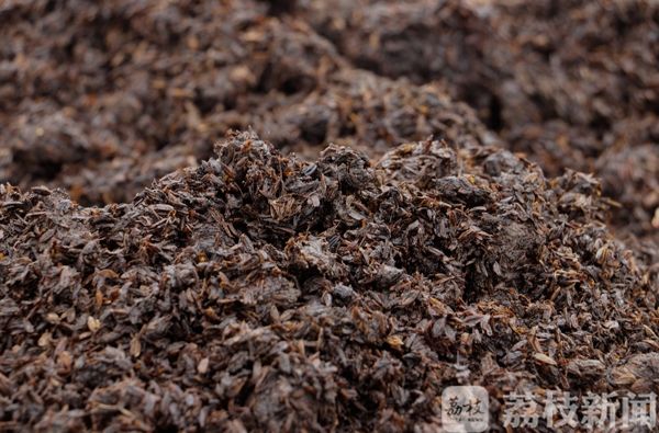 老农3年铺了180吨“宝贝”在葡萄园 没想到发生了这样的改变