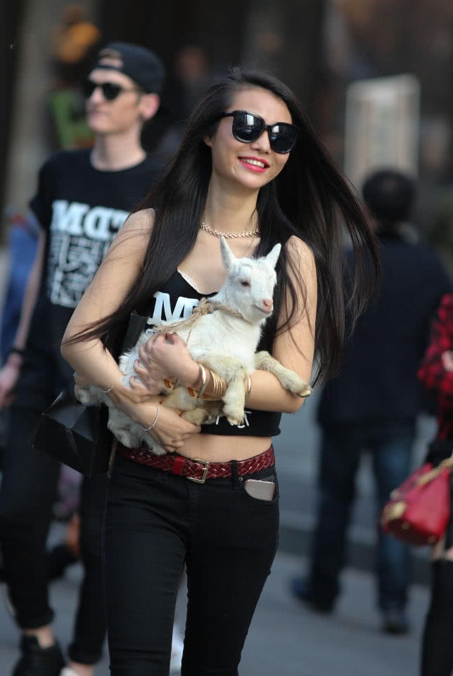 怀抱小羊的小姐姐牛仔裤搭配黑色小背心，有爱心的女人很美